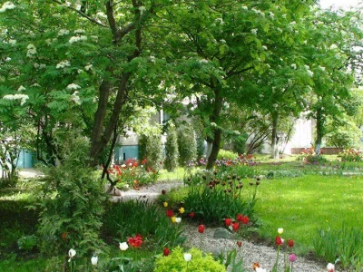 Фотография
